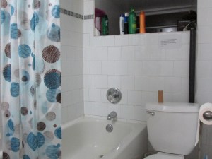 facing south-east into bathroom